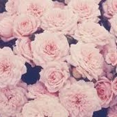 Wus Good| Sofia (part,)II. ||Músikbyå-Cover|