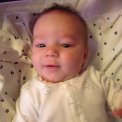 GAWK og 2012 version