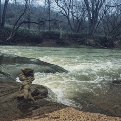 Troubles Will Be Gone - Tallest Man On Earth (Cover)