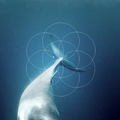 Deep Sleep Meditation