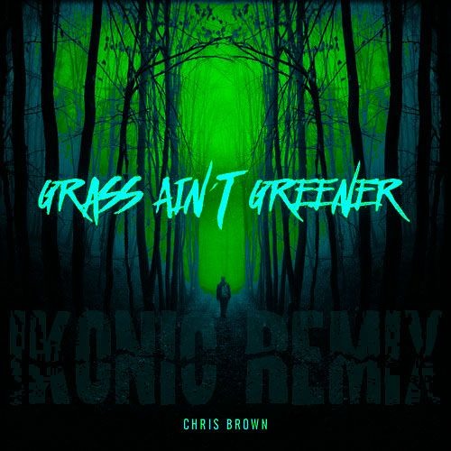 Grass Ain't Greener (Remix) | Chris Brown