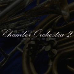 Forest Walk - Szymon Szewczyk