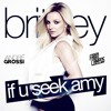 Britney Spears - If U Seek Amy (André Grossi vs Fabio Campos Mash Mix)