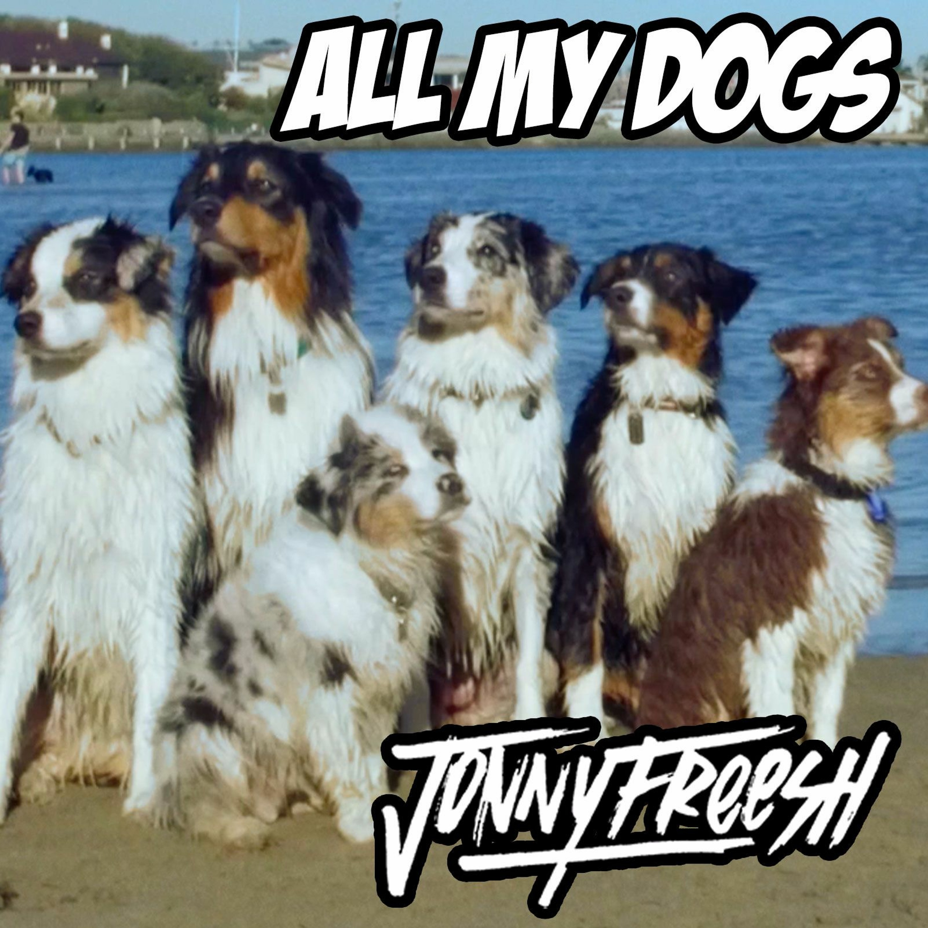 Jonny Freesh