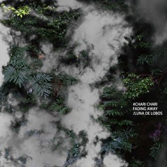 Chari Chari - Fading Away (10:58)