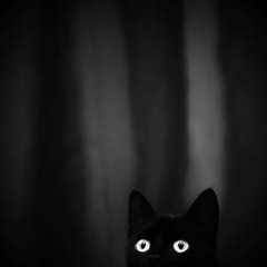 You gotta feel it, mdfk