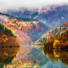 Boyan Aleksandrov - Deep in nature