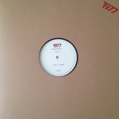 A1 - TKG (PERSPECTIVES EP)