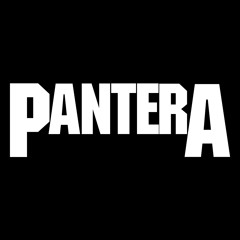 PANTERA - Sandblasted Skin  ※Cover