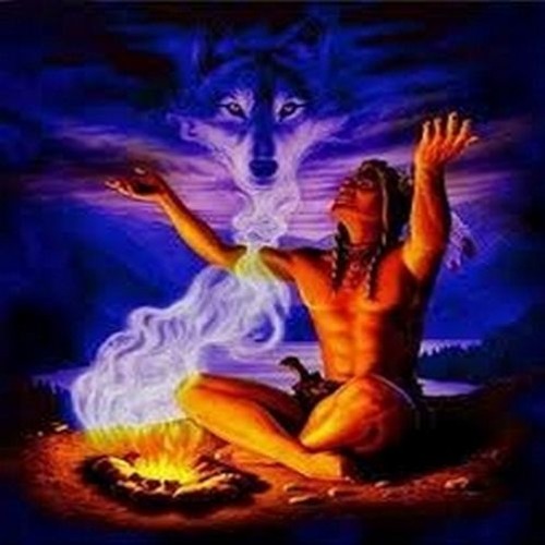 Fox Man - Thérapie Sonore