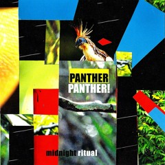 01 - Panther Panther! - This Love