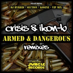 Crisis & Ikon - B - Armed & Dangerous (DJ Hybrid Remix)
