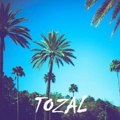 Tozal - Palm Trees