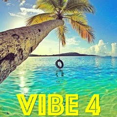 Vibe 4