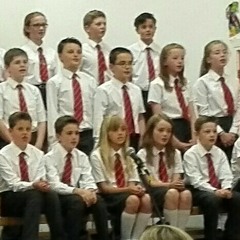 Towerview Primary School 2016 Leavers' Assembly