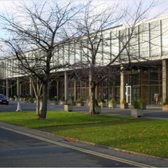 Best of Mediaflash S2: The Death Of Linear TV