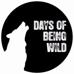 PREMIERE: daWad & Mokic - Atlas [Days Of Being Wild]
