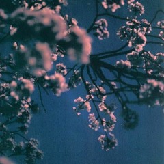 Jaro (live in Jamm Club)