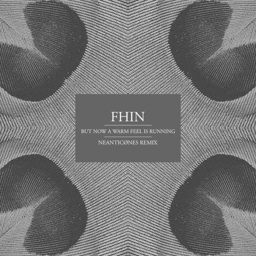 Fhin - But Now A Warm Feel Is Running (Neanticønes Remix)
