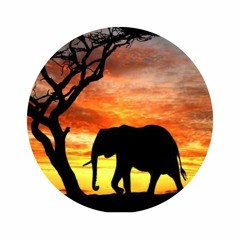 Drumous - Good Sensation