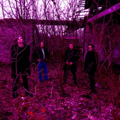 Sunlight in the Garden