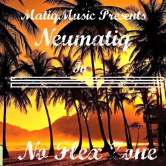No Flex Zone - Neumatiq