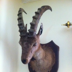 MAH GILEETOO HANOS        SALMAN PARAS