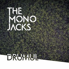 The Mono Jacks — Drumul