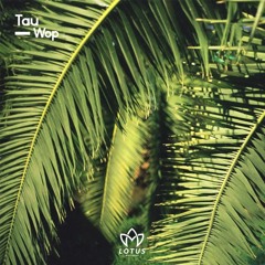 Tau -  Wop