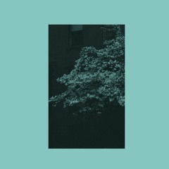 Decollage Trax - Dawn