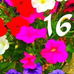 Sample Session Sixteen