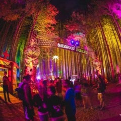 Bassnectar - VOODOO EDIT Electric Forest 2016(INTRO)