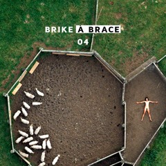 ◉ BRIKE A BRACE #04 ◉ {technomelodic}