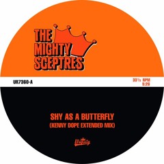 The Mighty Sceptres: Shy As A Butterfly b/w Nothing Seems To Work Right 7"