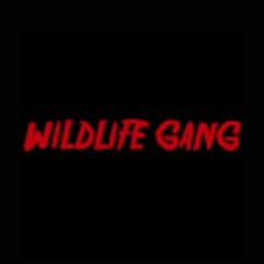 Kidd Gwolla Ft. Lil Bling Grew Up