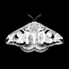 EMETIC 029 - Storb_PREVIEW
