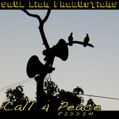 Call 4 Peace Riddim