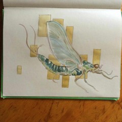 The Mighty Lark Episode 2: The Blue Winged Olive