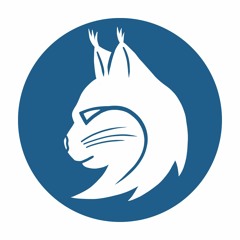 Wanda Jakubowska - Prząśniczka (Krysiek Remix)