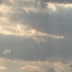 Patches Of Sunlight