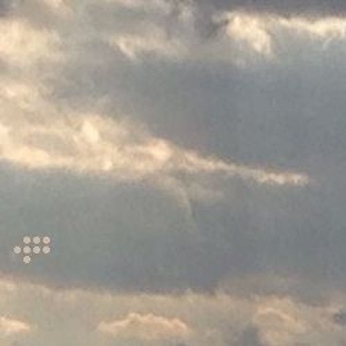 Patches Of Sunlight