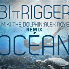 BitTrigger- THE RUN / Alex Royers remix / SUNGR092