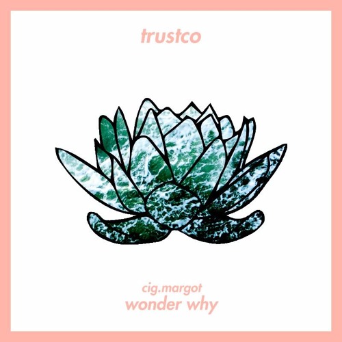 cig.margot - wonder why