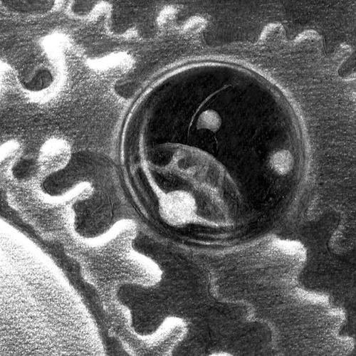 & Meshmass - Wonderland