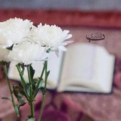 يا عُدّتي ~ عذبْ الأنشودة الوِجدانية