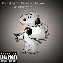 You Don't Know - Aaron Alexander