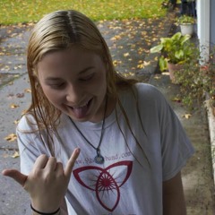 Talking Animal Movies