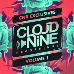 Sex, Drugs & Bounce (Original Mix) - Press Play & Nathan Thomson