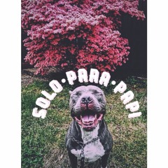 Solo Para Papi(prod.Andrew bearford & Cha'ley)