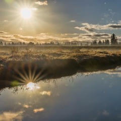 Misty River